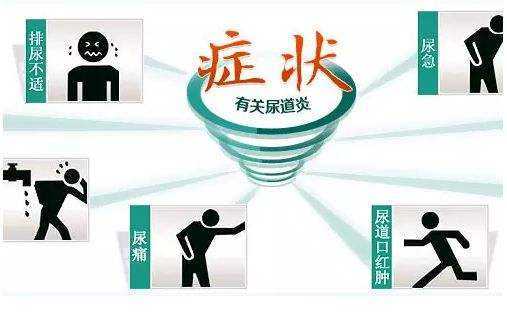 应该如何预防尿道炎_性生活_治疗_炎症