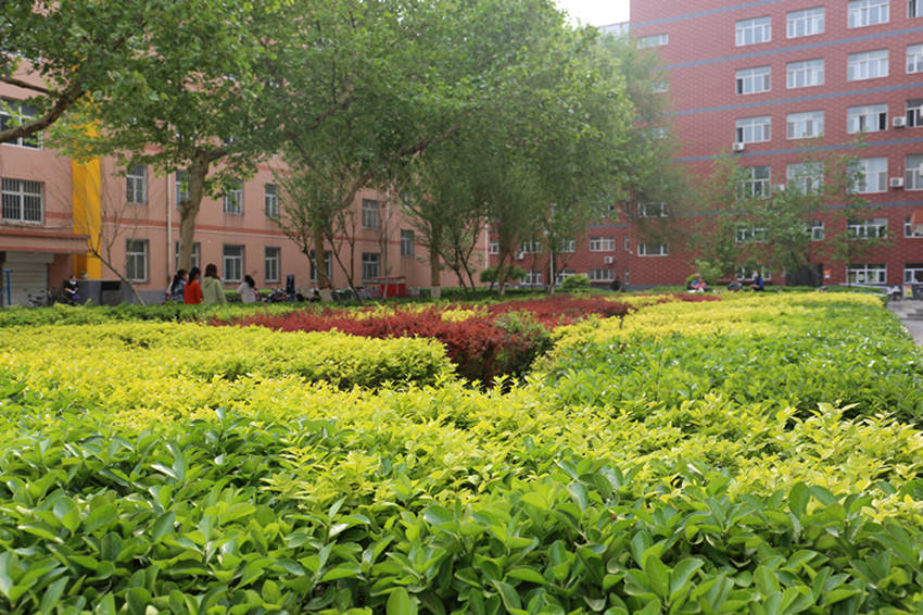 组图:保定理工学院为师生打造绿色人文校园_劳动_文明_生态