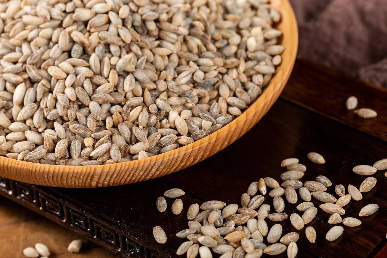 如何打通青稞"出藏天路",他们给出了答案_西藏_种植_生产