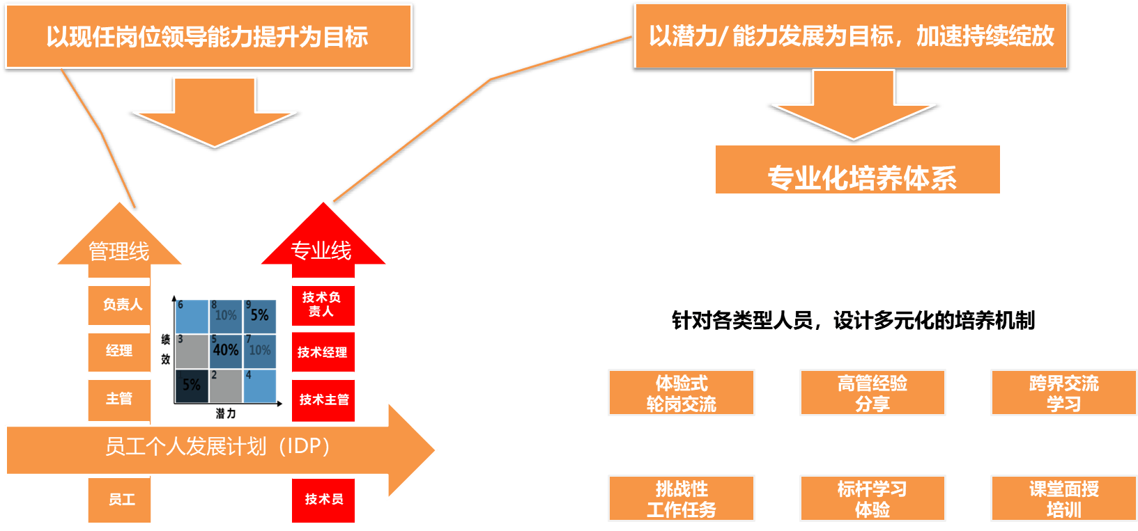 人才发展规划 来自搜狐网