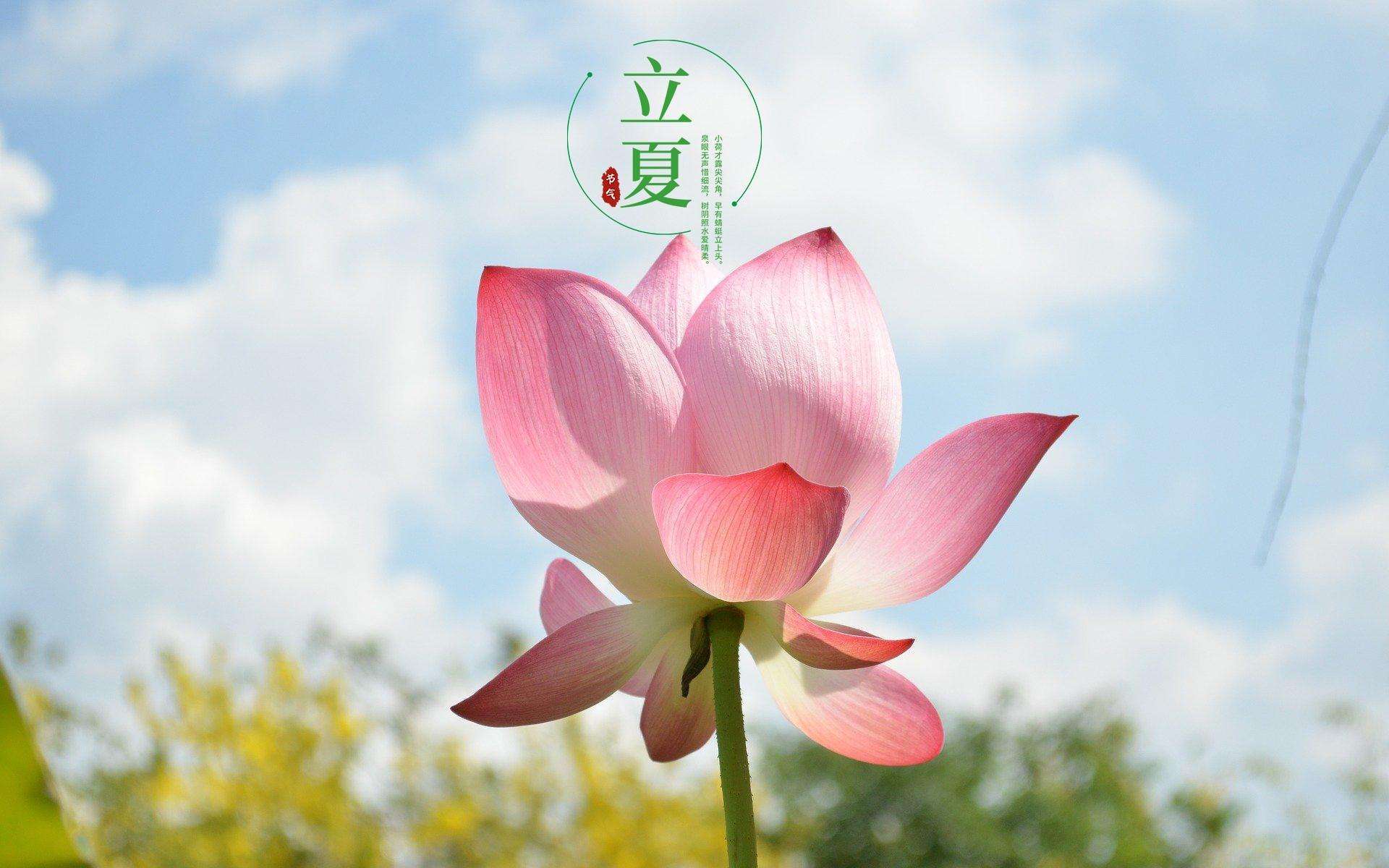 心脑血管专家虞桂博士:二十四节气之立夏如何健康养生_夏天_阳气_时节