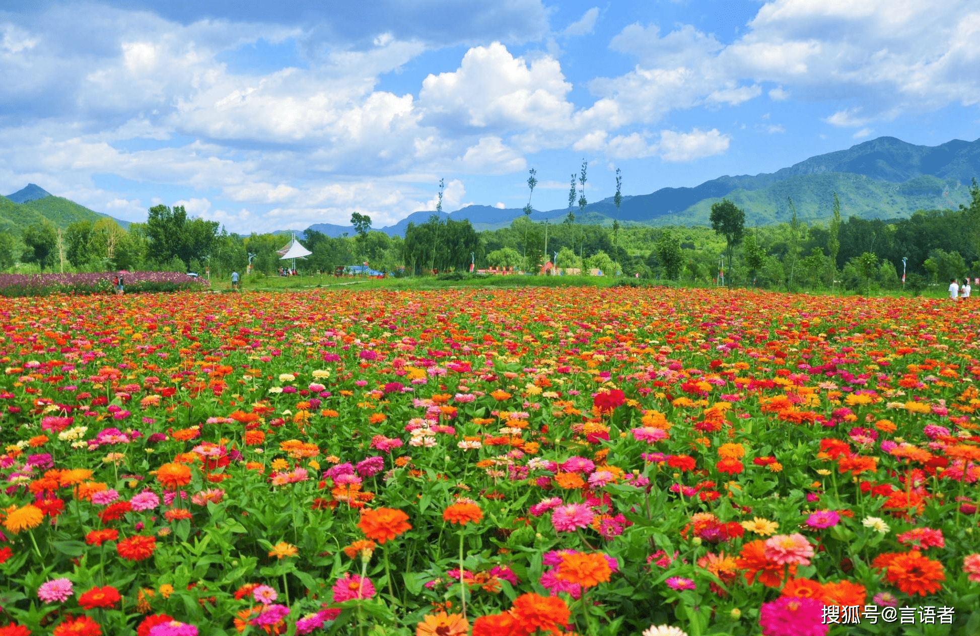 附近花海旅游景点图片