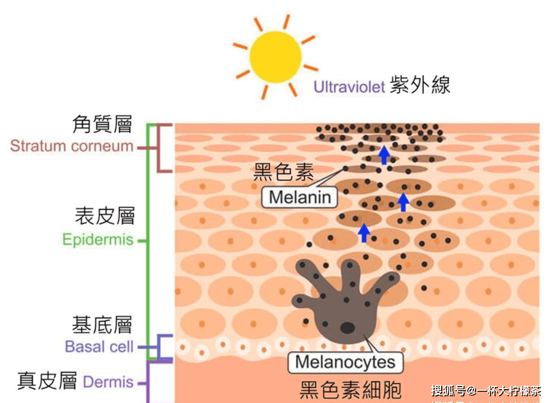 适合收藏的干货！这样美白不走弯路，为什么说谷胱甘肽由内而外很关键？