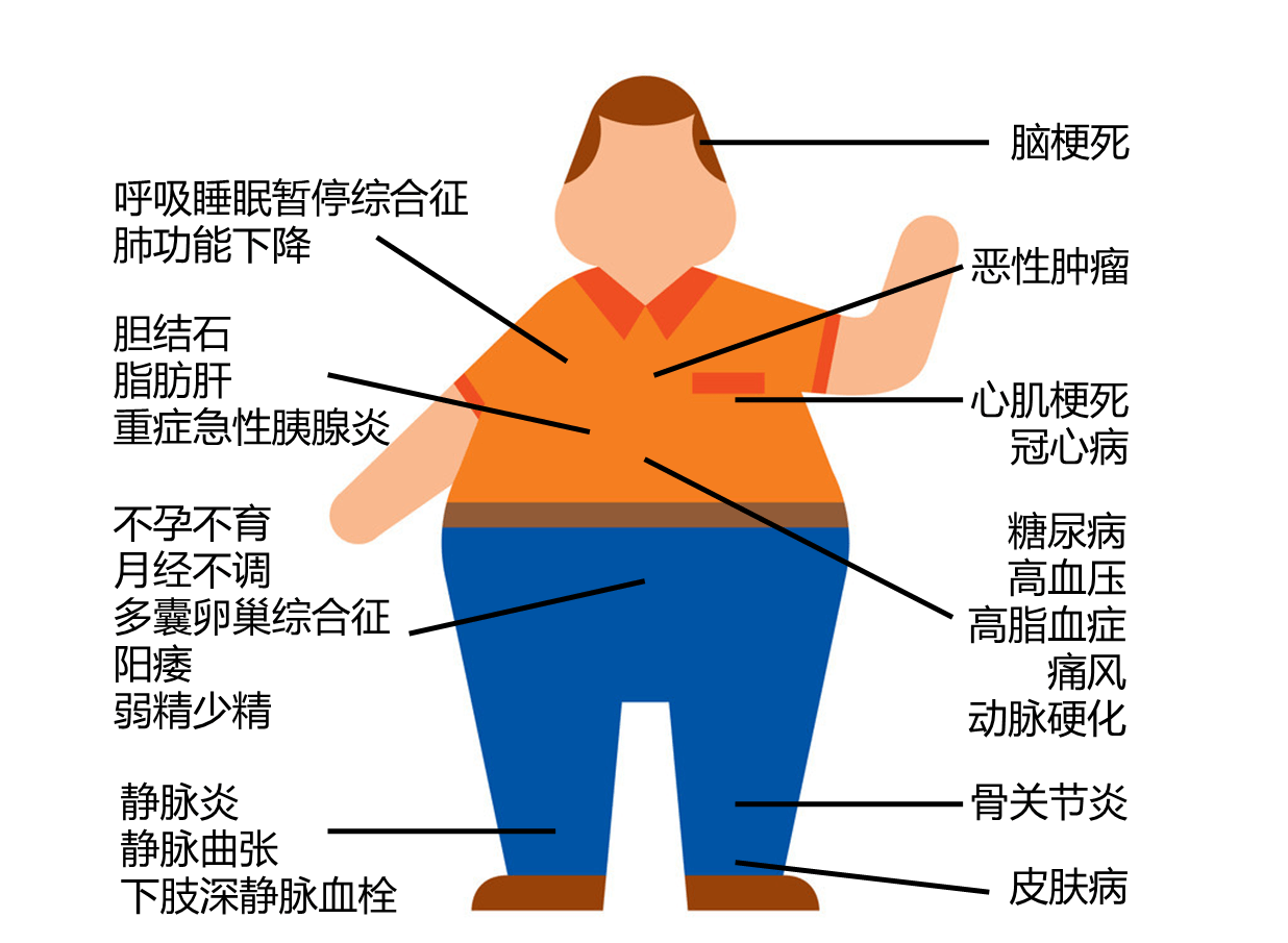 减肥药有安全无副作用的吗_最有效安全的减肥药_减肥药有效安全期多久