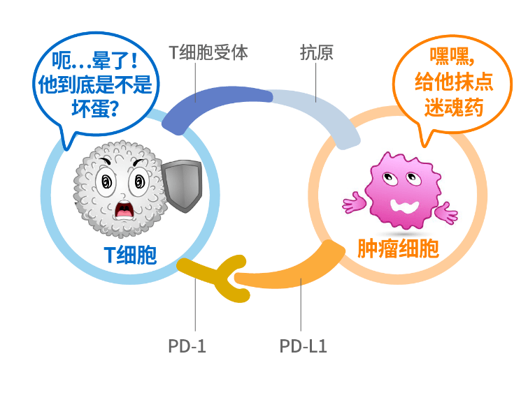 百小蓁课堂丨新生抗原与肿瘤免疫治疗