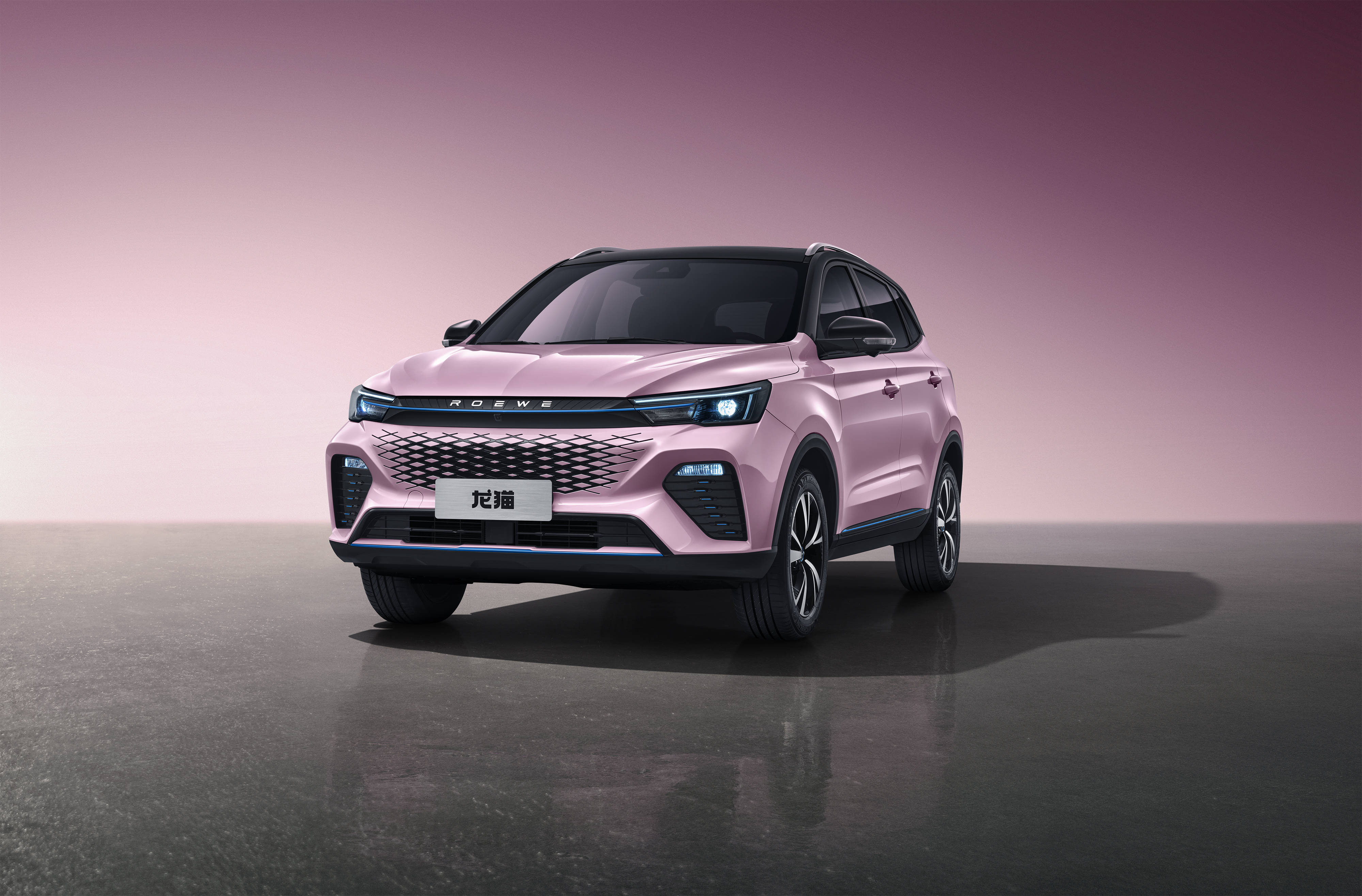 将5月20日正式上市荣威龙猫官图发布