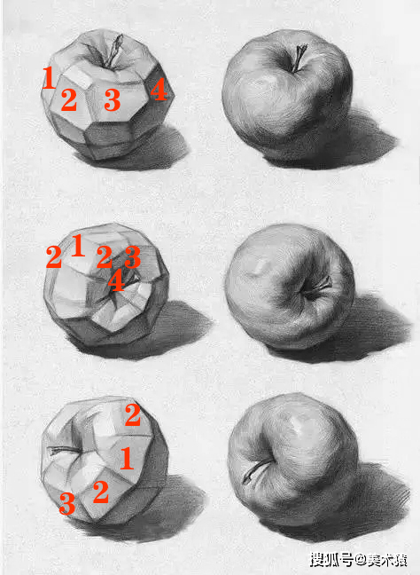 水果解剖图设计素描图片