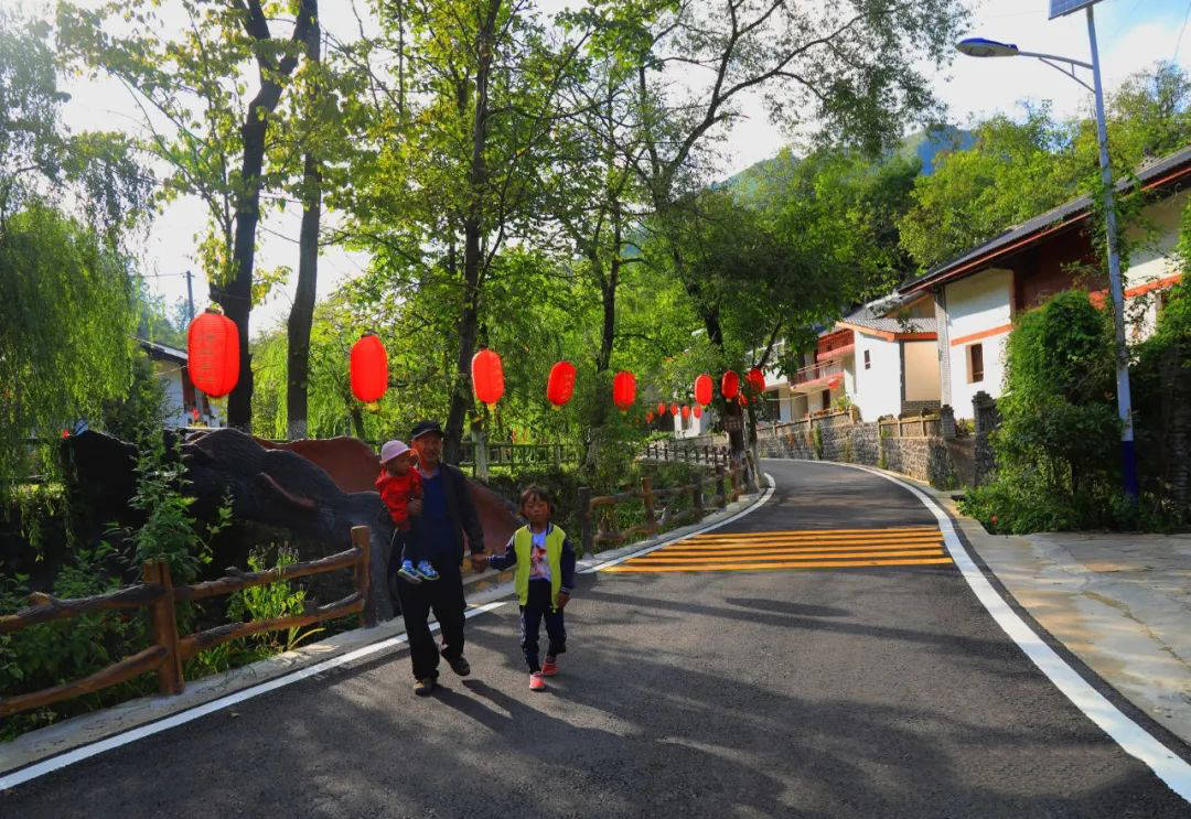 康縣陽壩梅園溝國家4a級旅遊景區對全國遊客門票免費三天_鄉村_康養