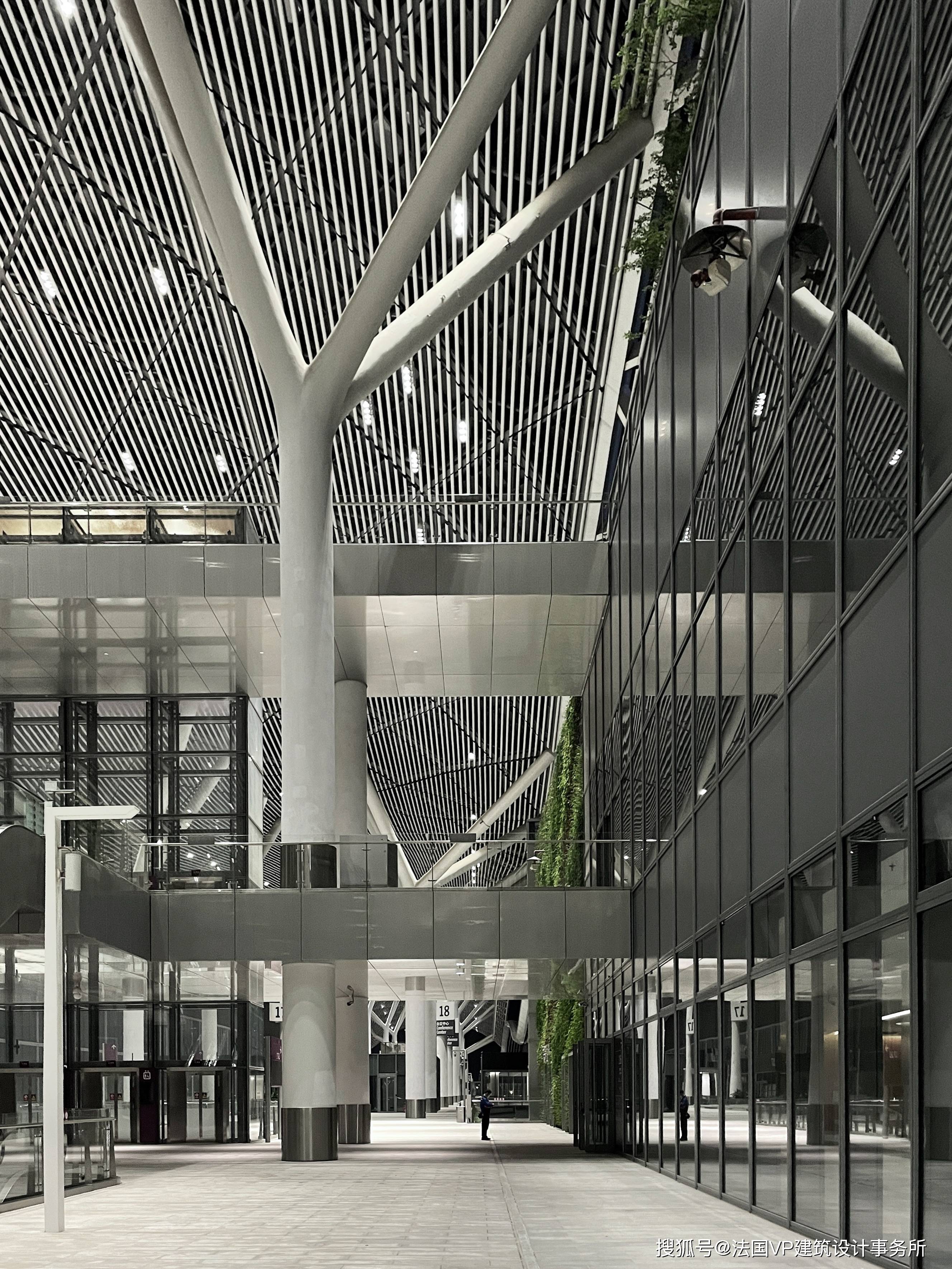 中廊二层进入中廊,鱼骨式弯曲灵动的中脊与简洁大气的树状钢结构