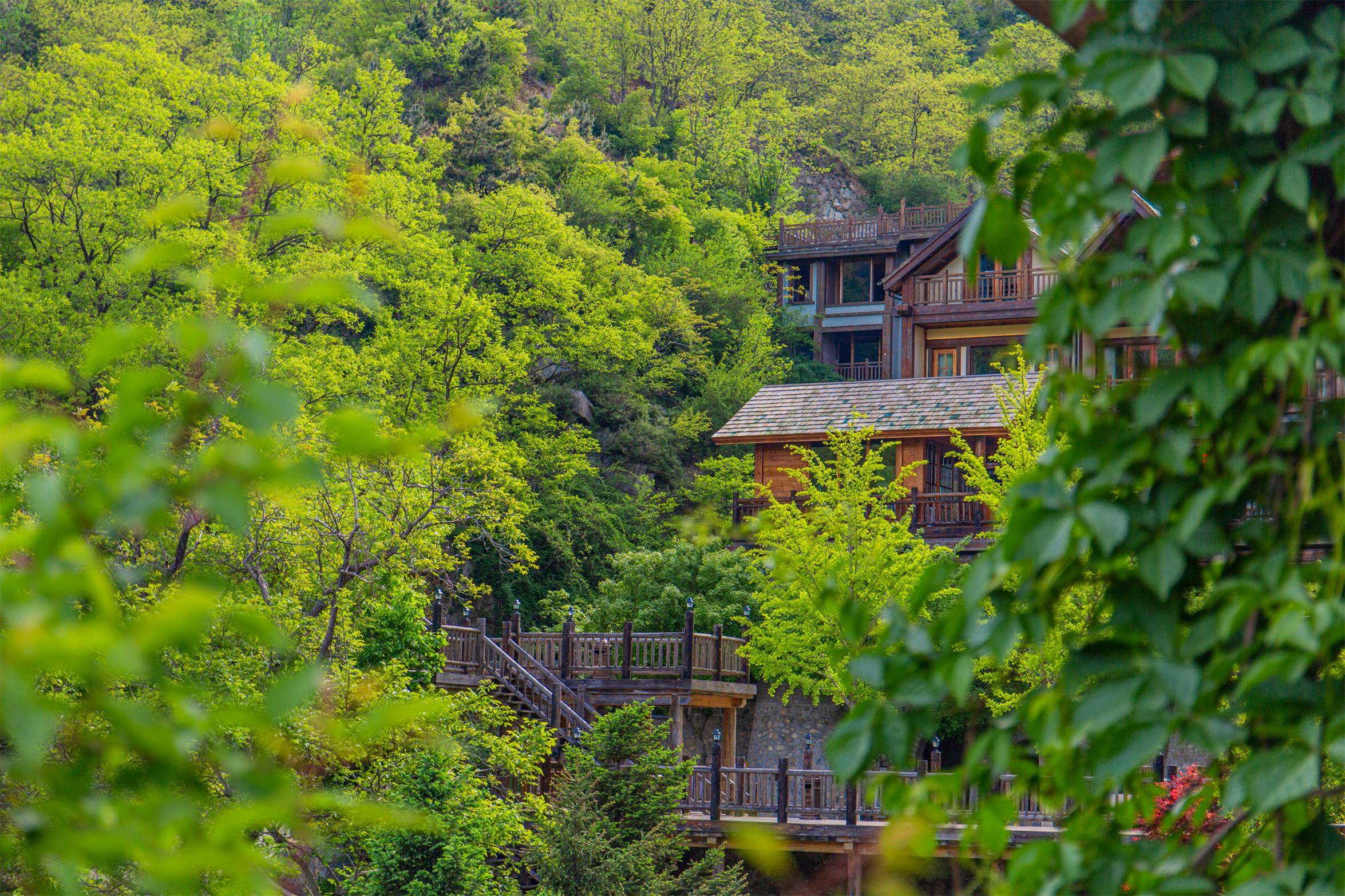 闯进避暑秘境,溪水山林享野趣山居villa_夏天_木屋_泳池