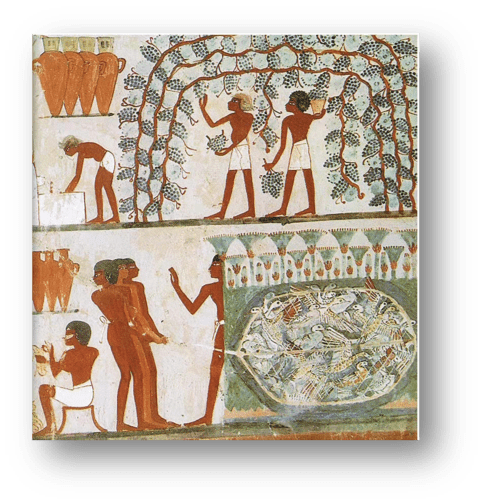 葡萄酒的‘传说’