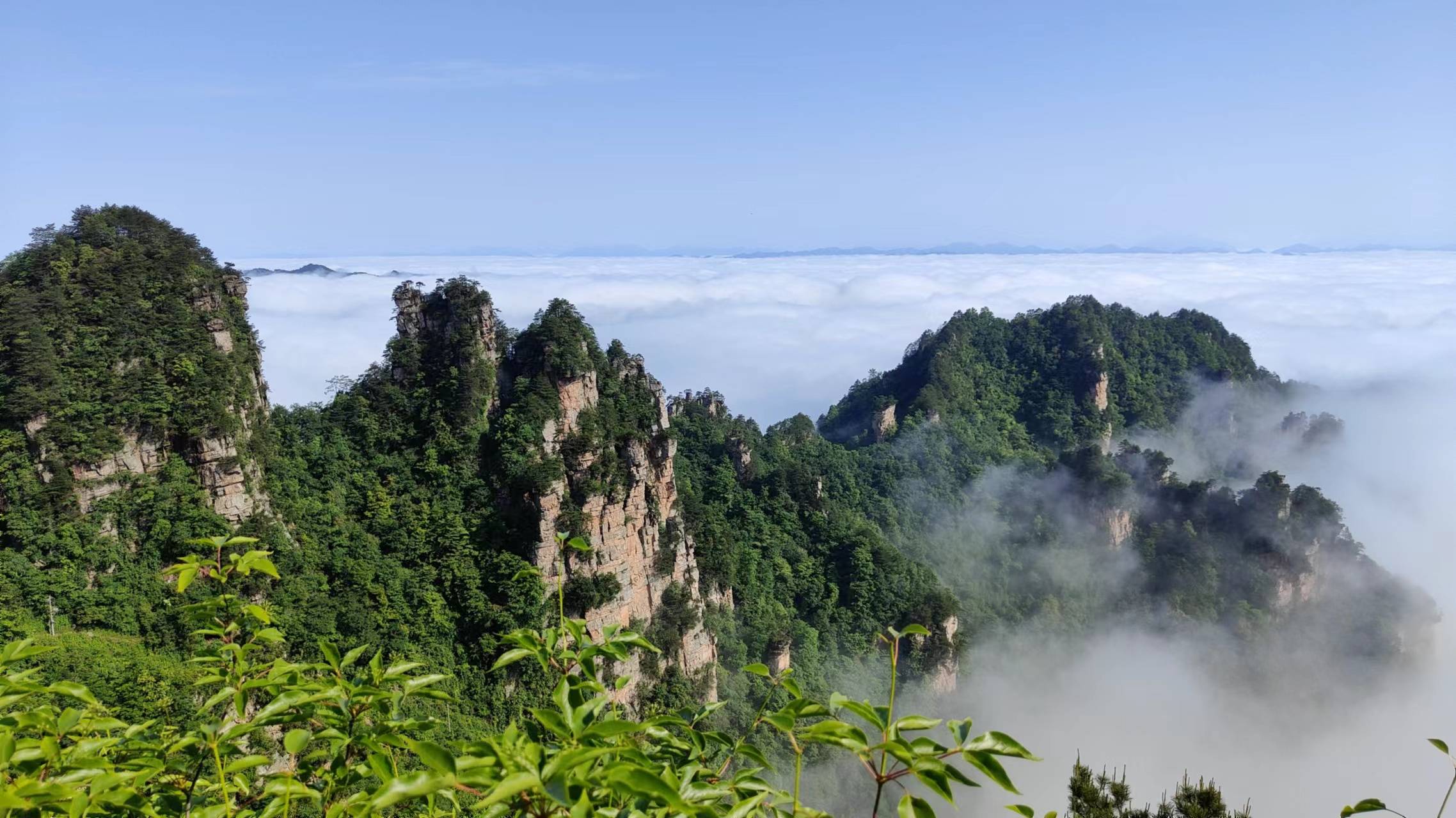 云绕峰林呈仙境 张家界天天都是《阿凡达》