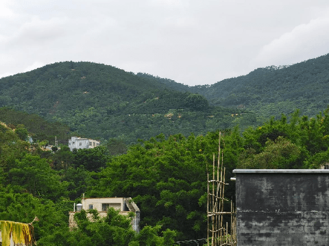 信宜市东镇街道凤岗村金交椅形势说明