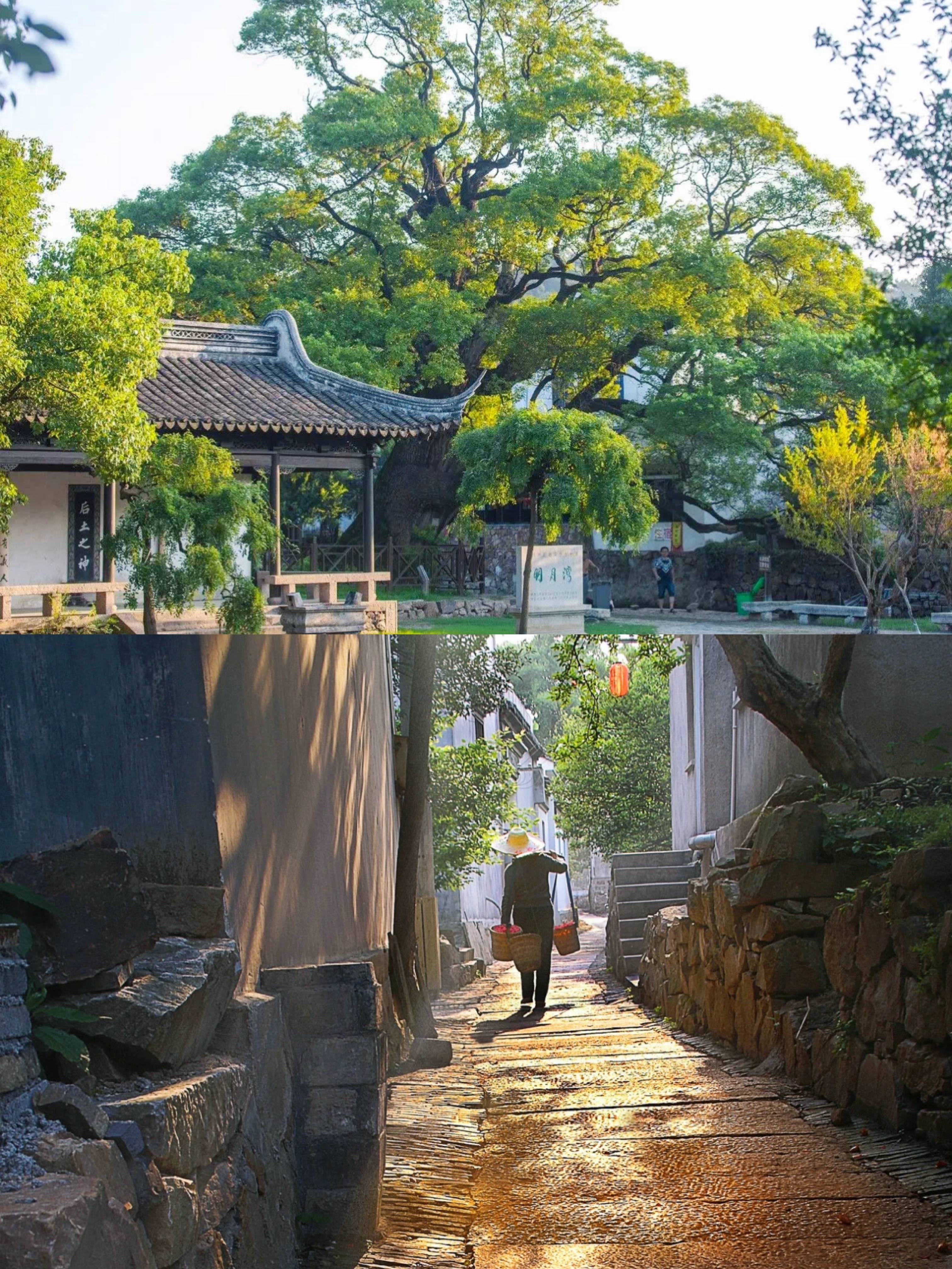 一般景致的古老村落,相传吴王夫差携西施在此共赏明月而得名明月湾