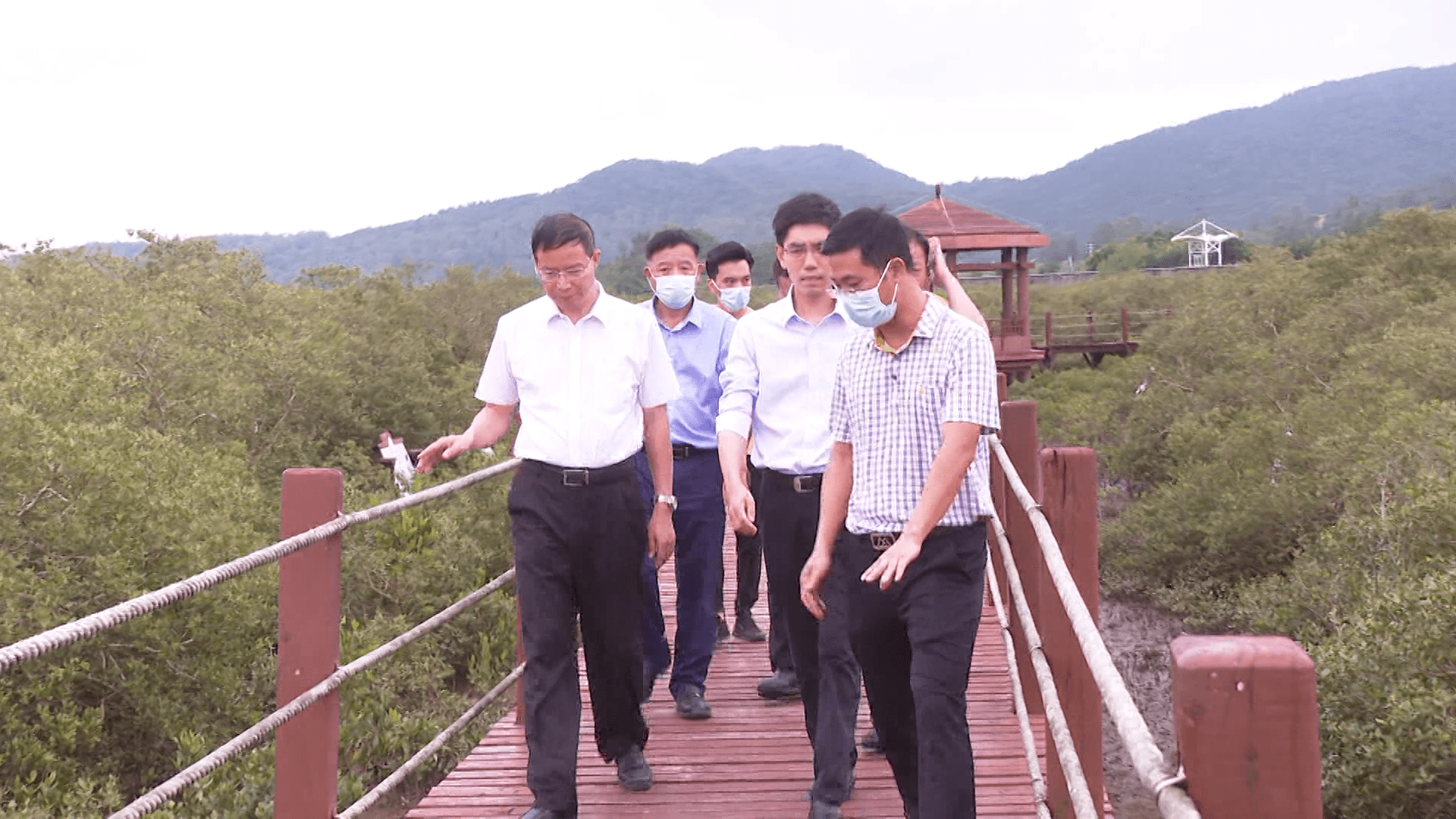 阳江市领导到海陵区调研生态保护和闲置土地处置工作_黄宁_海陵区