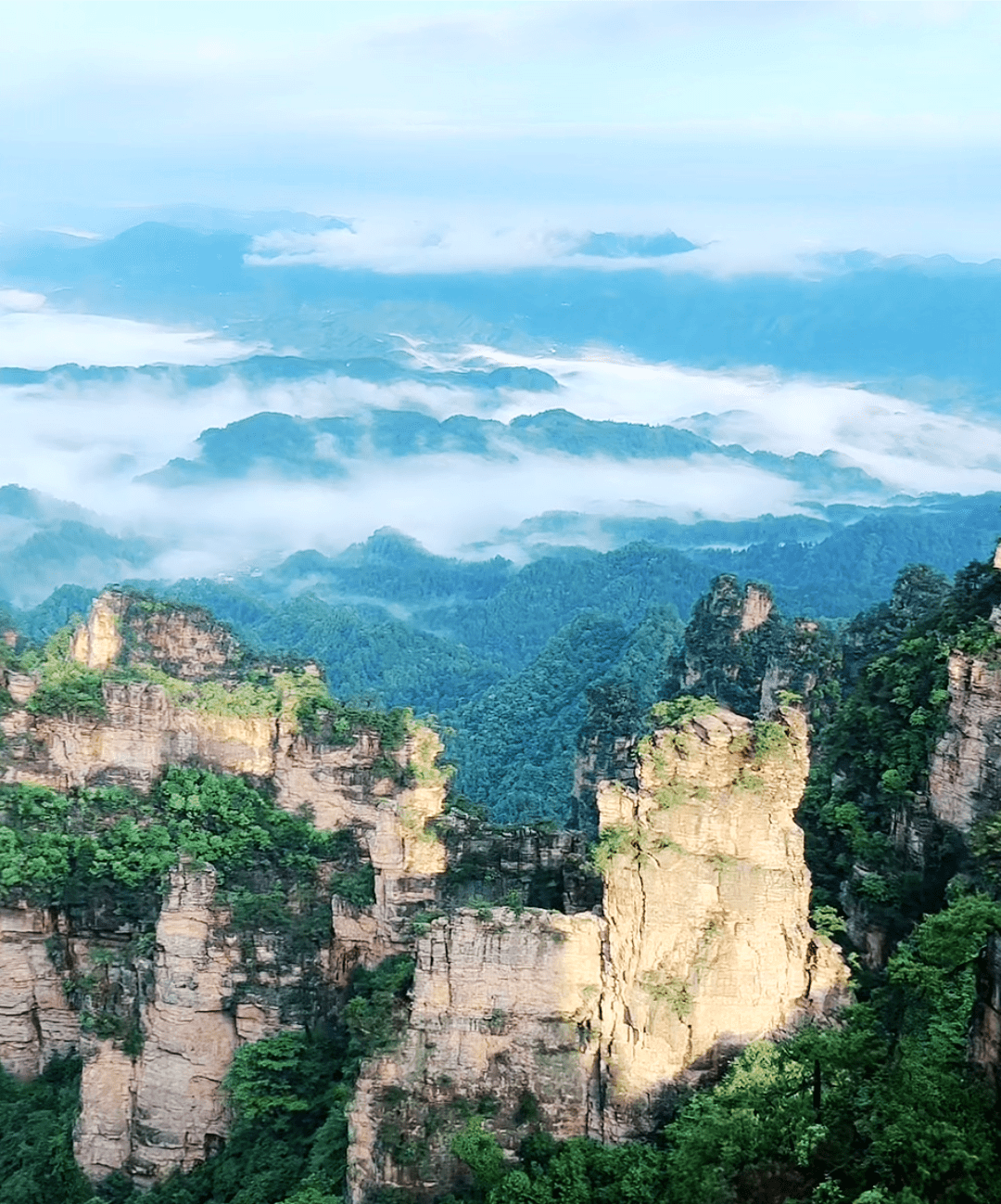 杨家界风景图片图片