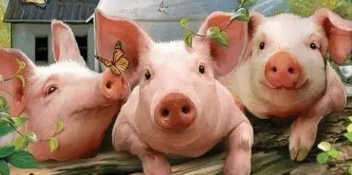 原创             一头猪赚几千的时候不说，一头亏两百就“委屈”，是养殖户矫情吗？