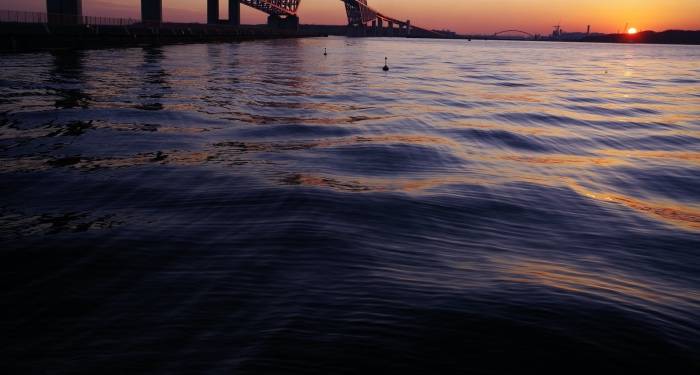 火爆的集成灶市场,会是下一个太阳能热水器吗?-家电圈官网