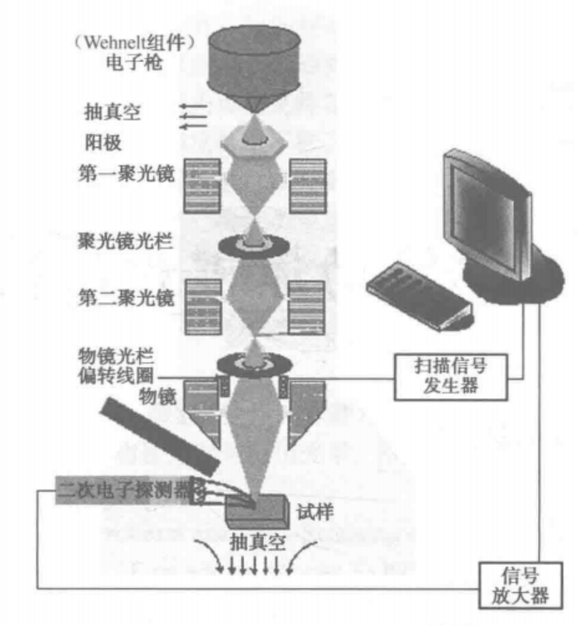 掃描電子顯微鏡操作簡單,觀察方便,搭配適當的探測器後可以做微區成分