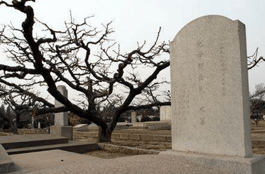 载沣墓地返回搜狐,查看更多