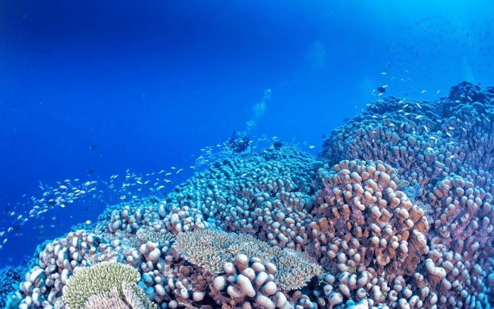 原创海洋的存在有多么的重要如果海洋和陆地互换将会发生什么