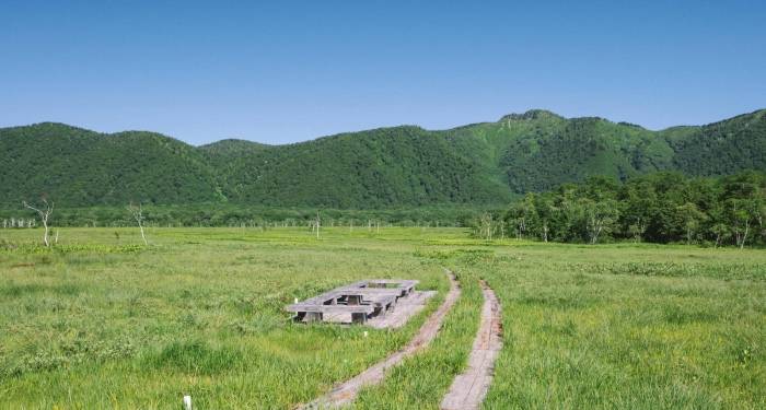 直播带货门槛向知识化专业化升级，家电厂商真准备好了吗?-家电圈官网