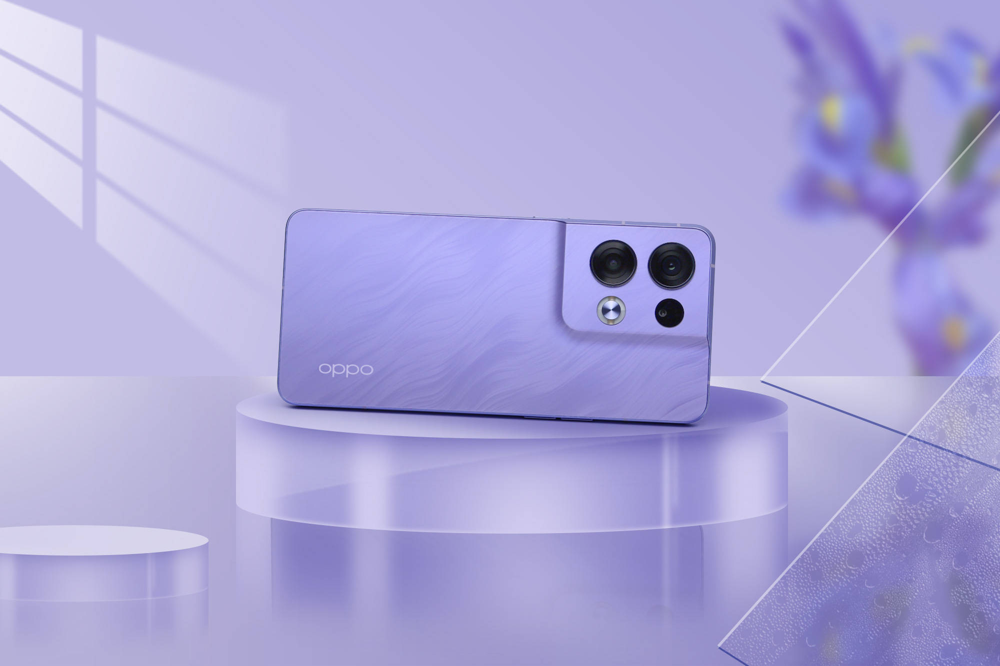 oppo reno8 pro花仙紫图赏 紫色花海随风飘扬