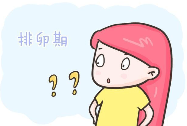 上海助孕中介哪里好（原创）