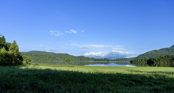 小麦大蒜西瓜换房子背后:家电市场营销还缺少创造力?-家电圈官网