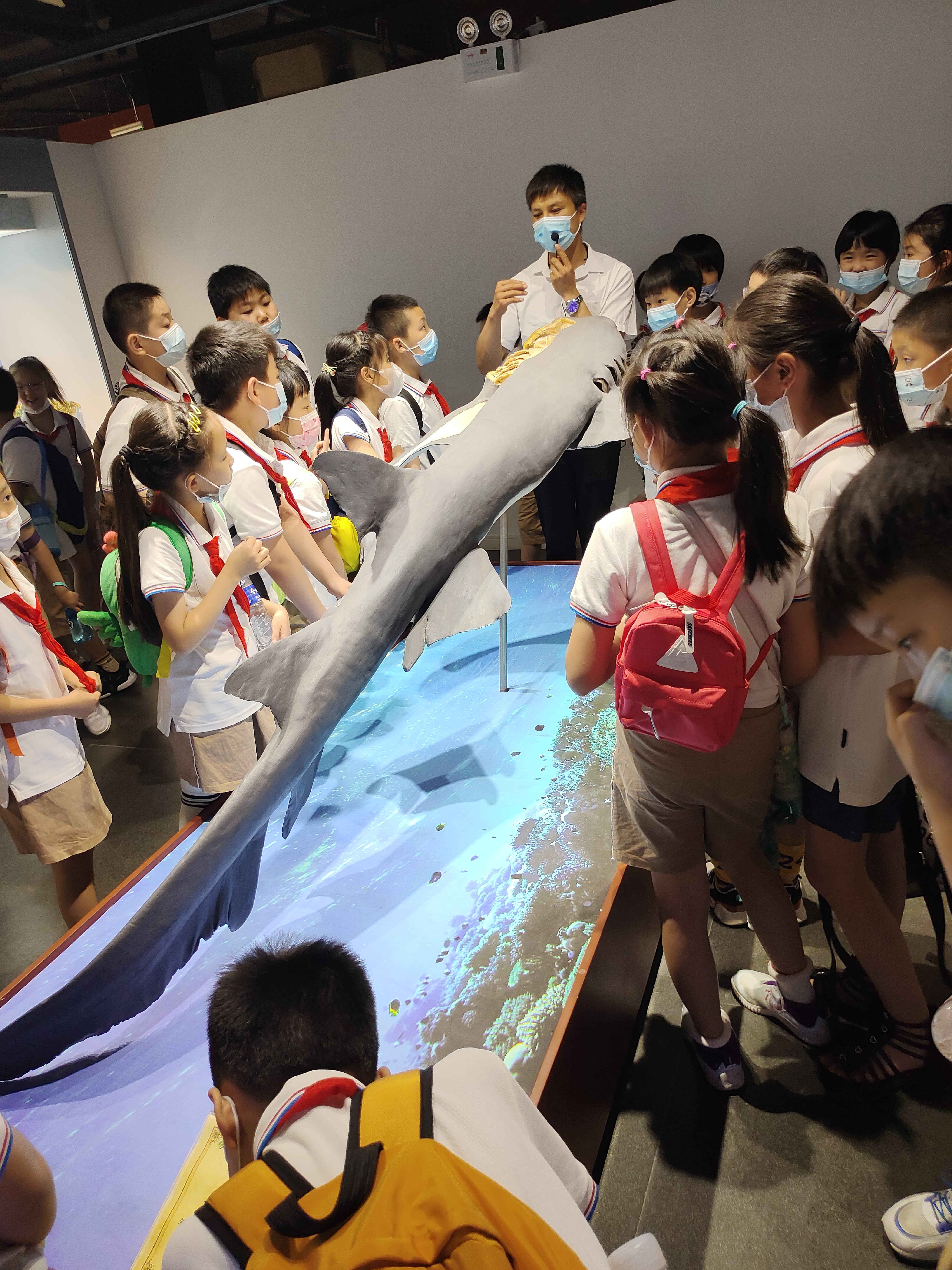 郑州宝藏暑期夏令营分享，孩子们到生命科学馆涨知识啦，来一场生命探索之旅