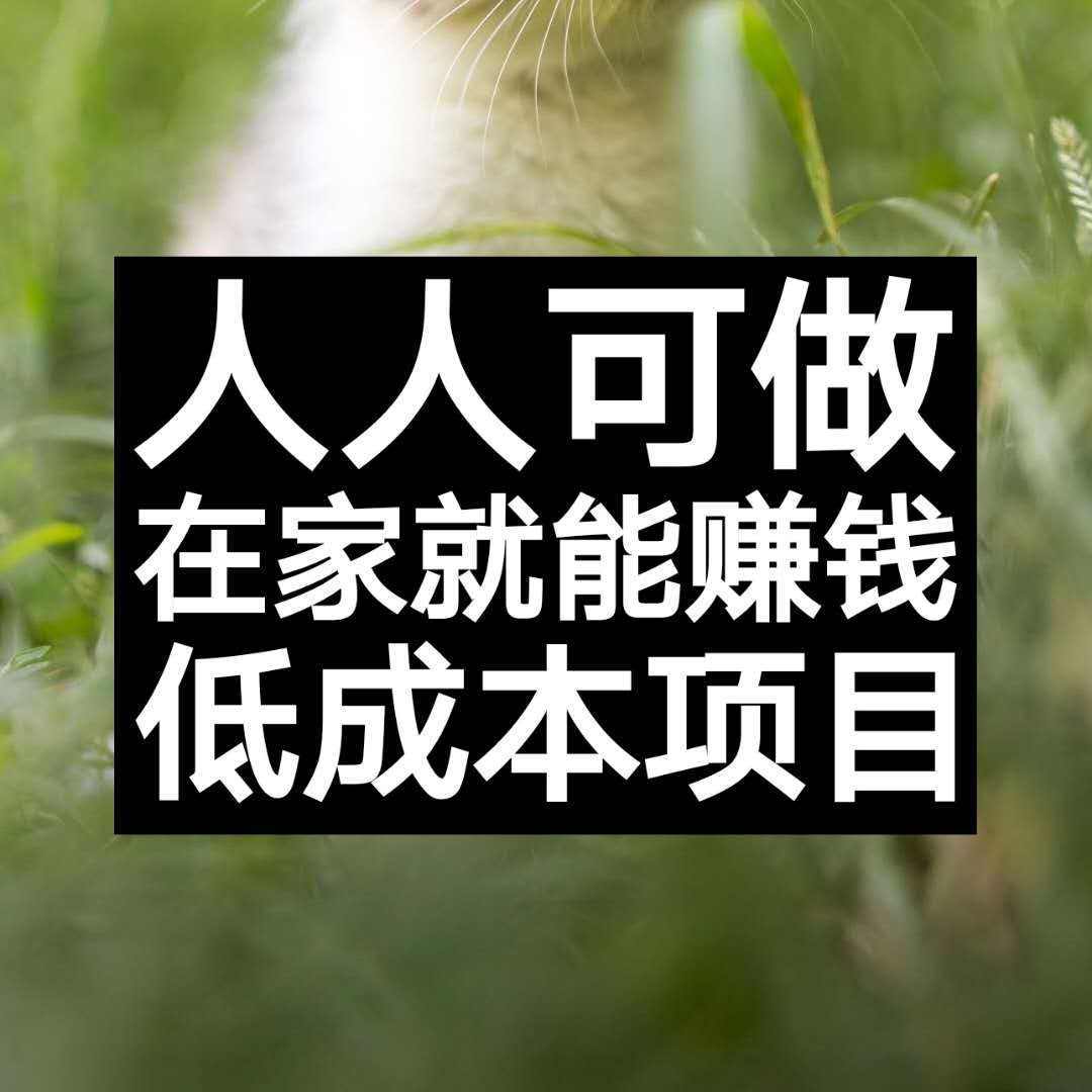 在家也能舒服賺錢的四種方法分享給大家。