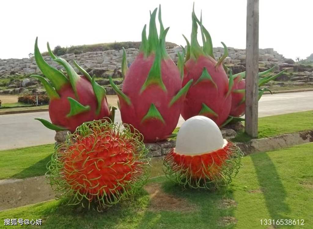仿真水果玻璃钢火龙果雕塑吸引了不少摄影爱好者以及村民群众前往拍摄