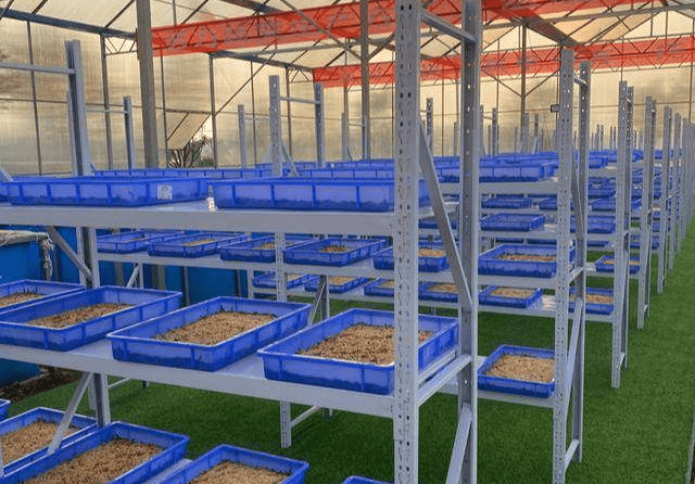 湖北亿嘉康农生物技术有限公司蛋白虫养殖成本怎么样