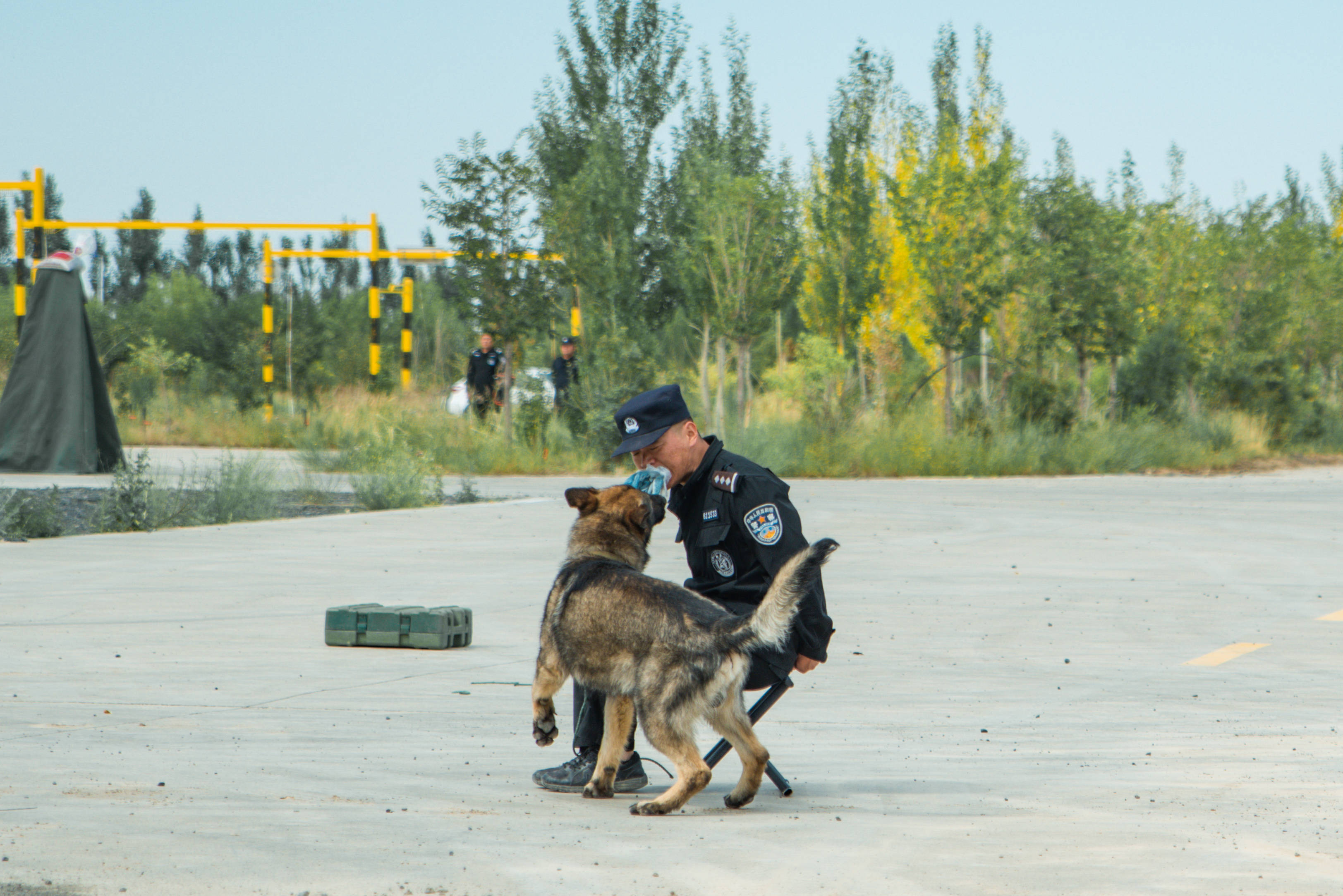 人狗激战警犬训练基地图片