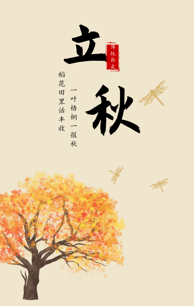 今日立秋山东合光同尘律师事务所