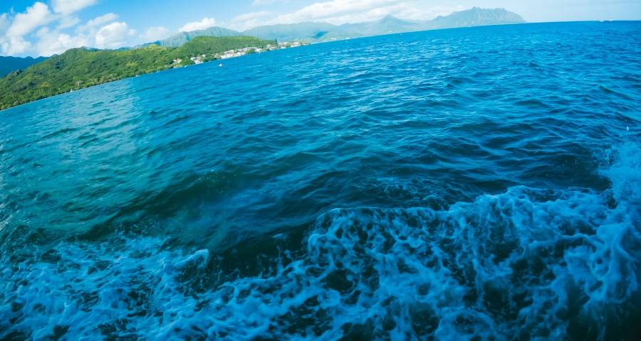 家电市场大盘低迷正是少数厂商的机会-家电圈官网