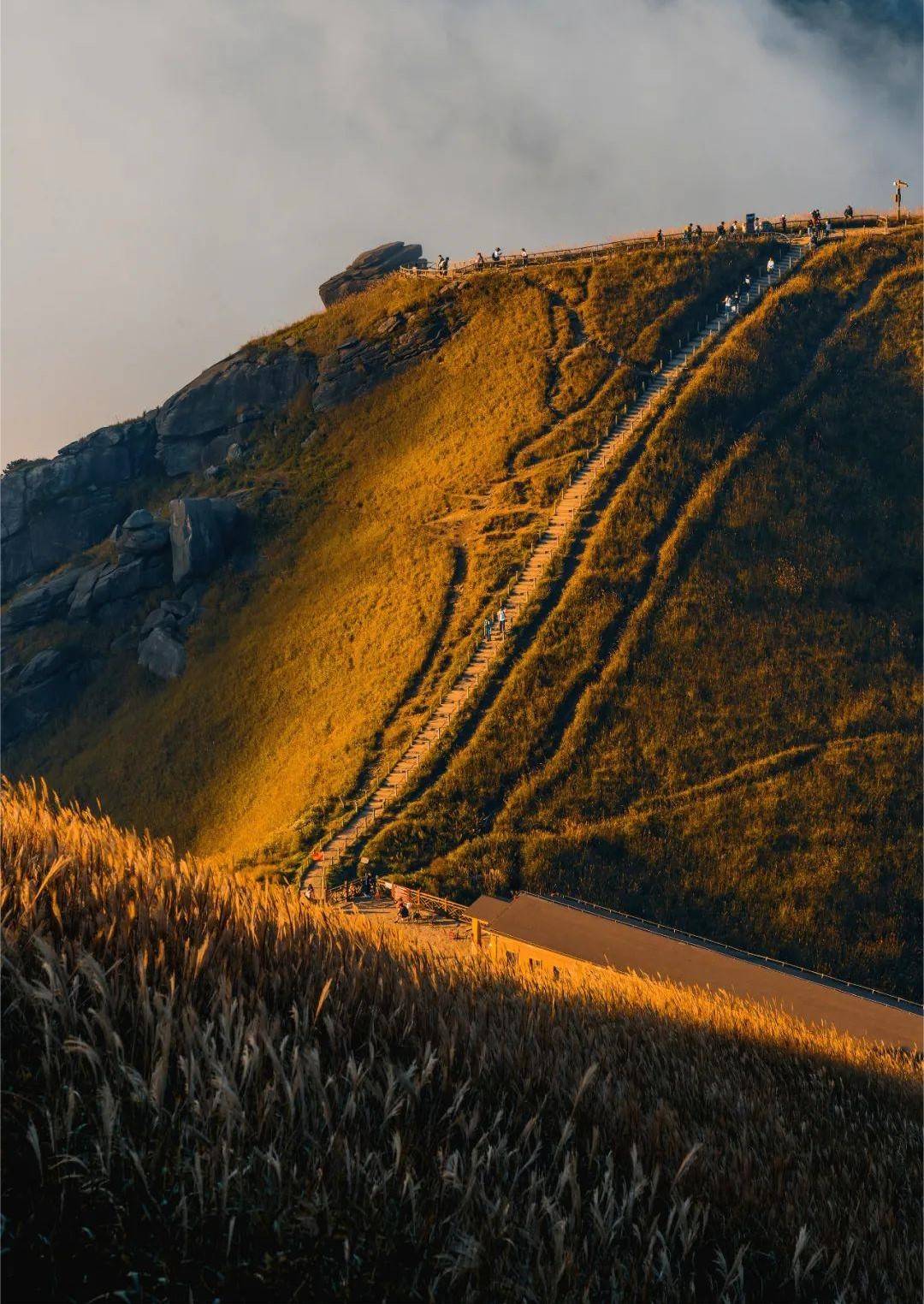 金色武功山 | 南方最美高山草甸,追逐星空与云海-搜狐大视野-搜狐新闻