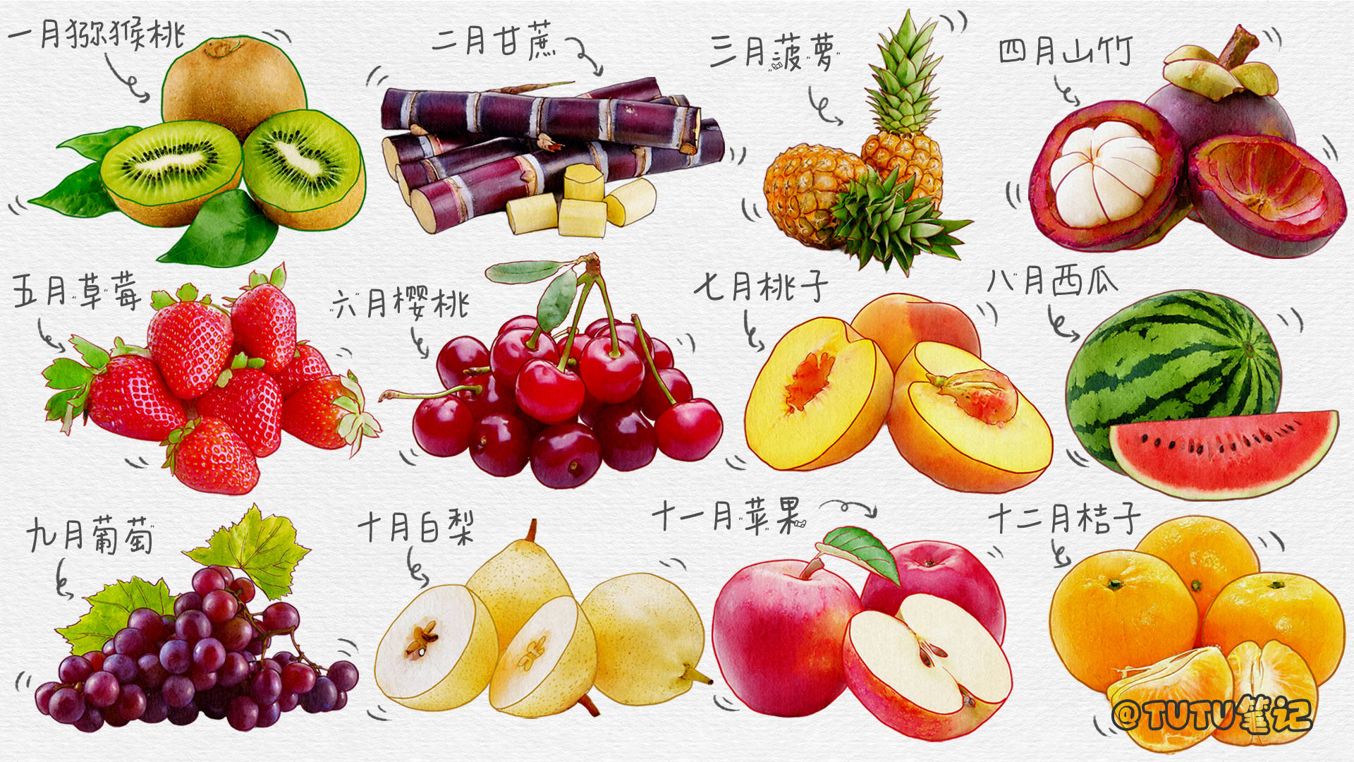 秋季多吃这7种水果！让宝宝远离疾病！_营养