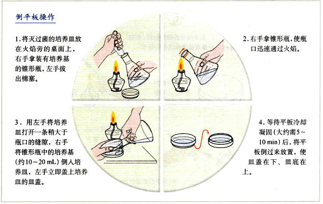 平板划线法和稀释涂布平板法各有什么优缺点