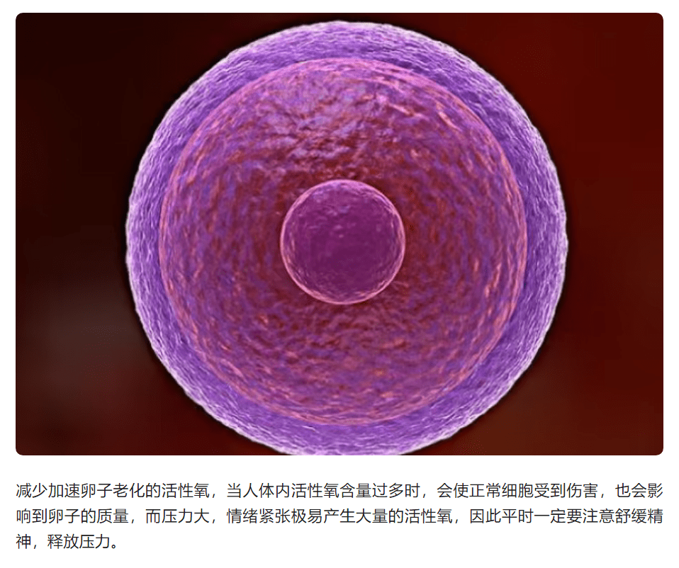 若何促进卵泡增长？若何进步卵泡量量天然怀孕？