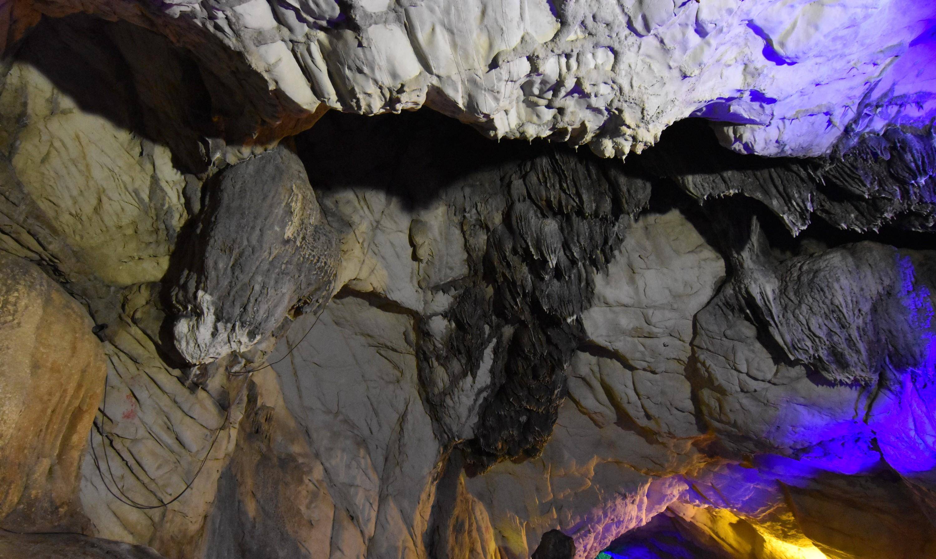 巢湖市银屏山仙人洞,千年牡丹生长于洞口岩石峭壁上_刘玉超