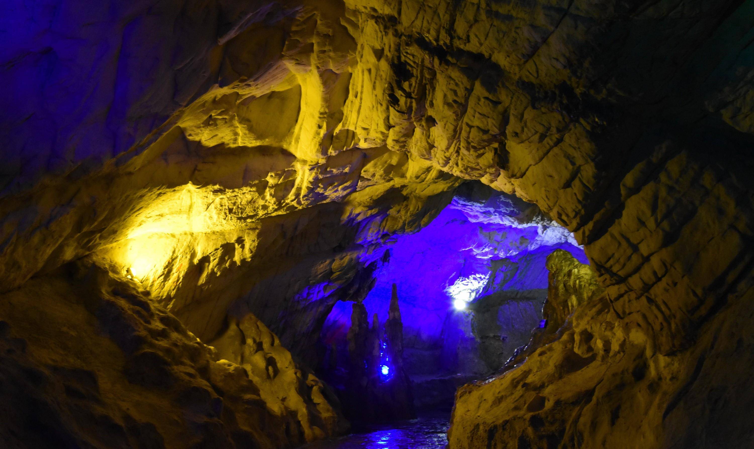 巢湖市银屏山仙人洞,千年牡丹生长于洞口岩石峭壁上_刘玉超