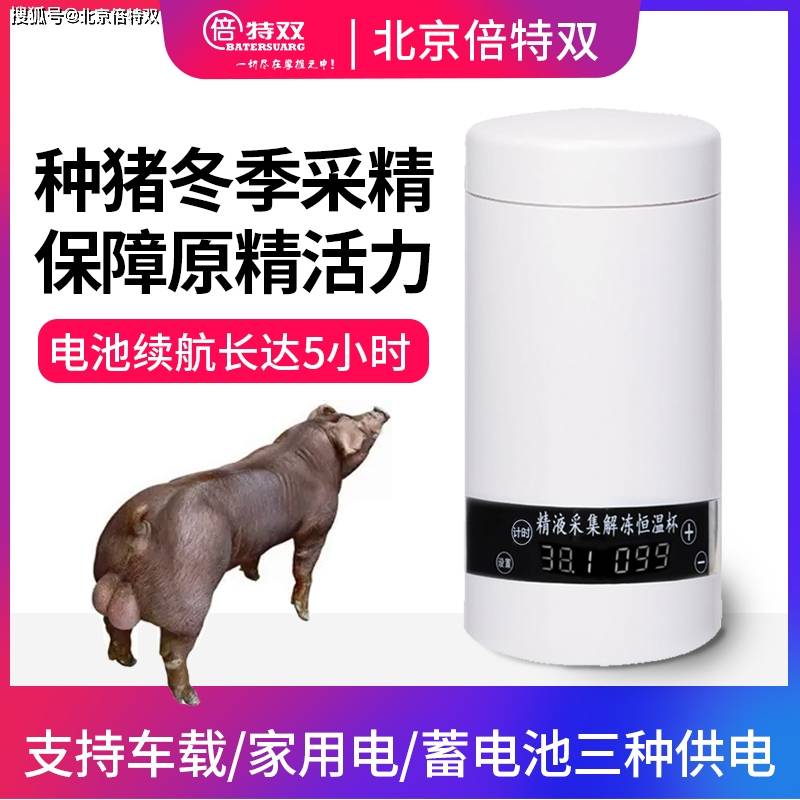 公猪采精量一般是多少?采精量不足的原因是什么?_射精_影响_精液