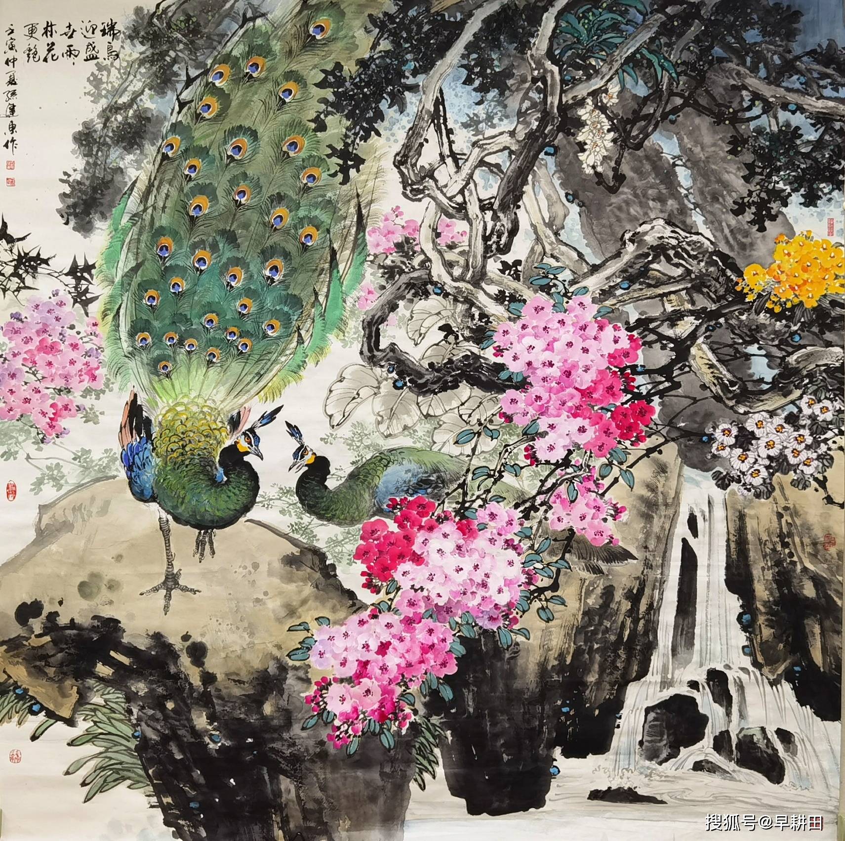 孙建东/画者从心——中国画名家作品邀请展_孔雀_艺术_云南