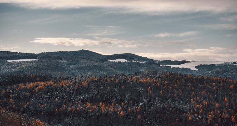 家电下沉市场未来2年会不会昙花一现?-家电圈官网