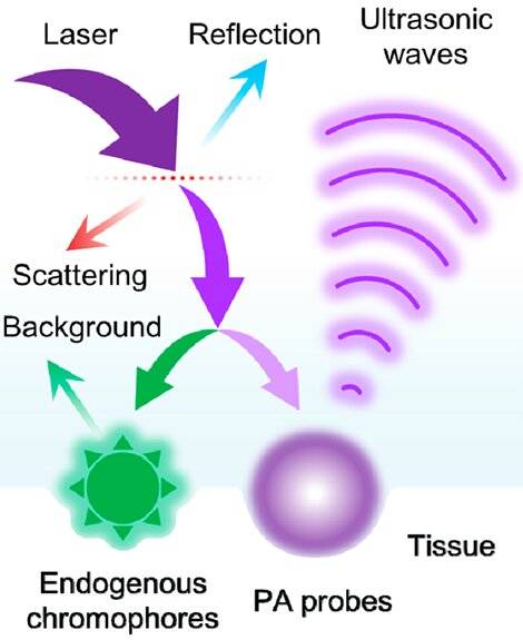 光声科普 | 光声信号原理及常见显影剂_成像_目标_脉冲