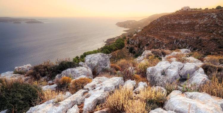 家电服务乱的困局，服务商破不了品牌商则不想管！-家电圈官网