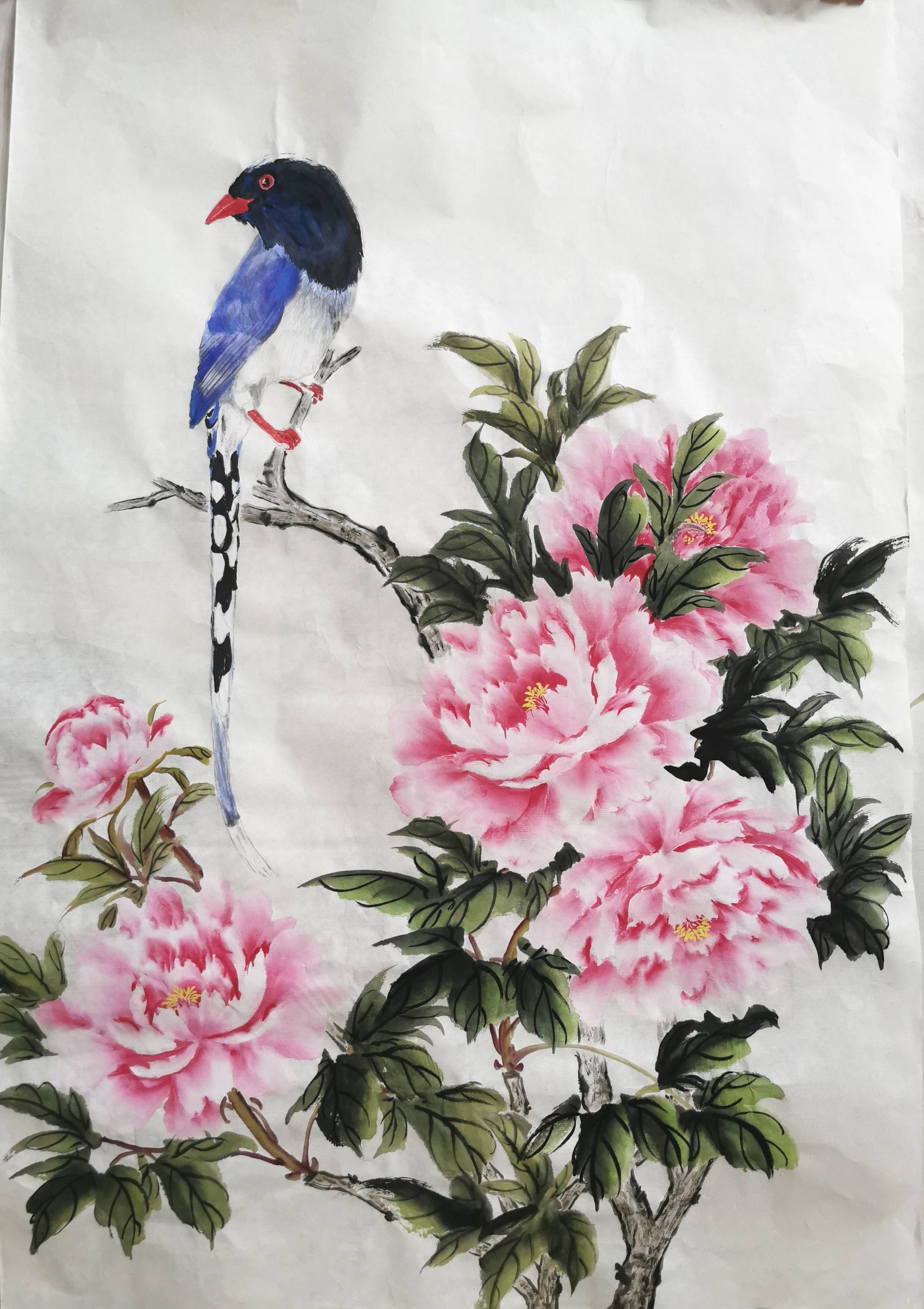 国画牡丹-小写意花鸟画-搜狐大视野-搜狐新闻