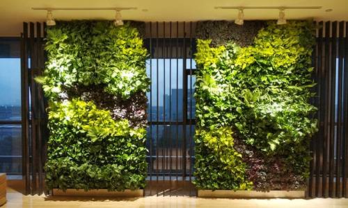 广州专业植物墙设计厂家分享_服务_原则_公司