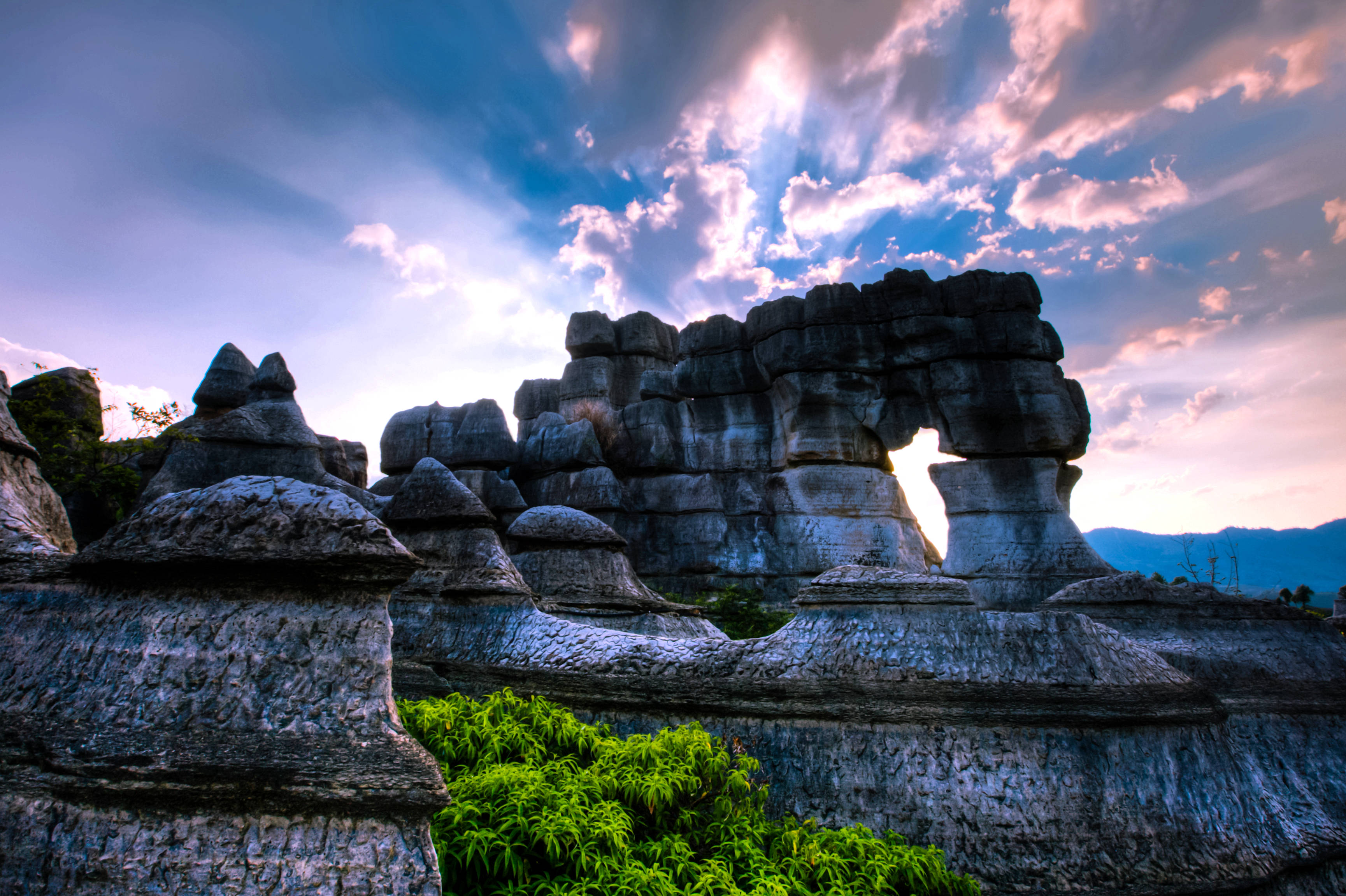 芳菲三月,与你相约_万盛石林_季节_门票
